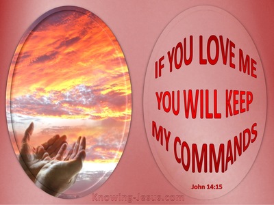 John 15:14 Keep My Commandments (pink)